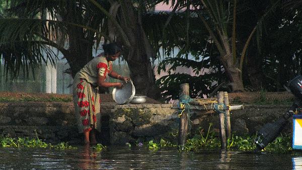backwater (1026)